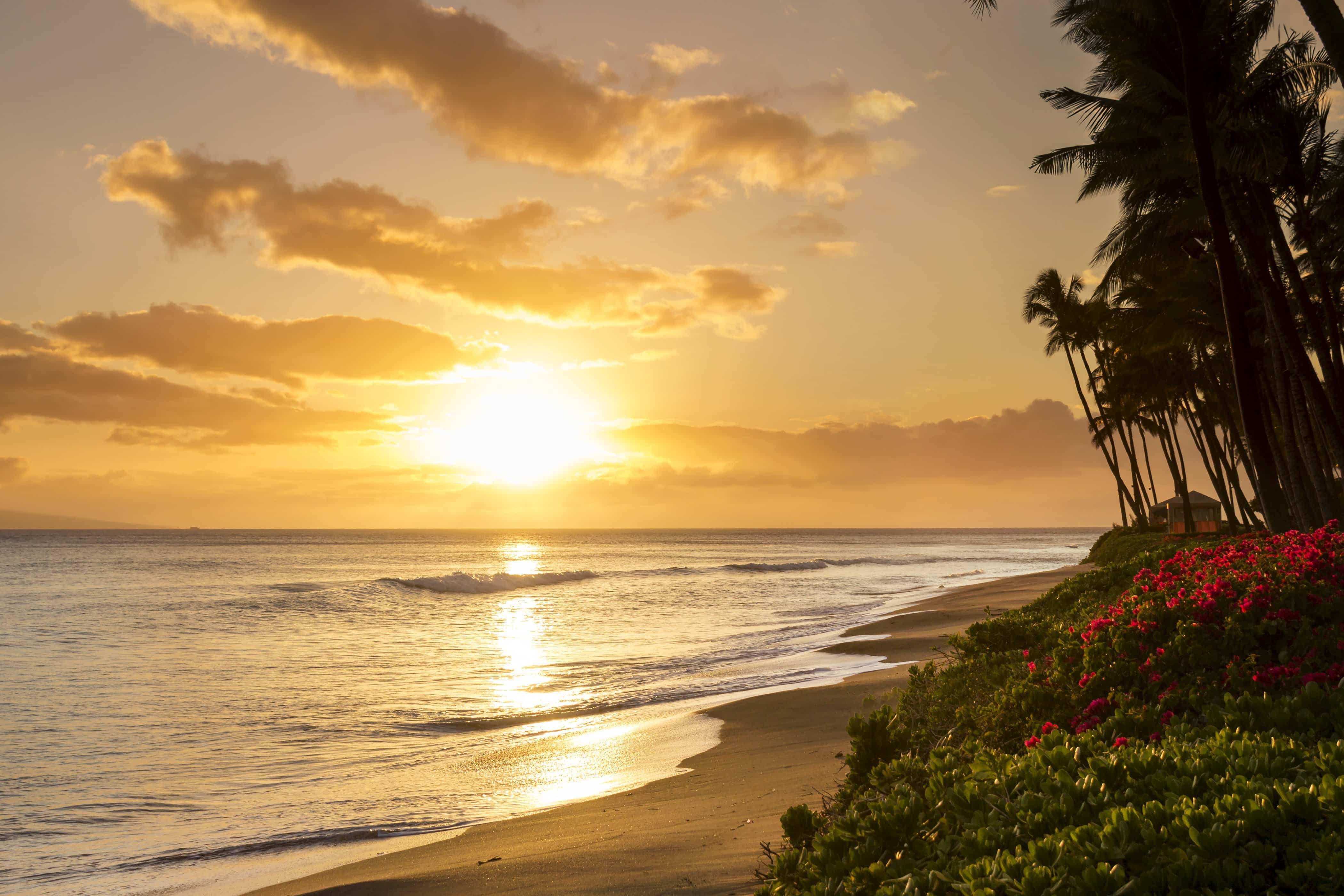Beautiful Sunset on Kaanapali Beach in Maui Hawaii Maxine Drake